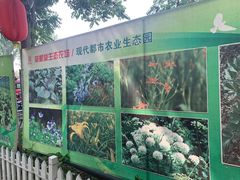 -草根堂农场