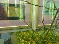 -上海昆虫博物馆