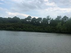 -东寨港红树林旅游区