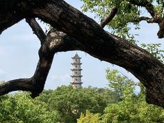 -江心屿景区
