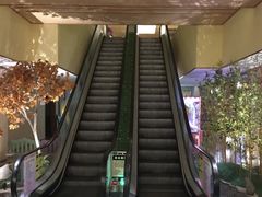 -汤泉良子(金源店)
