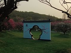 -无锡梅园公园