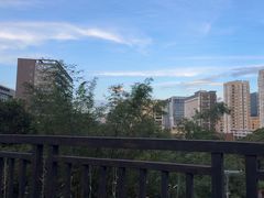 -鲤鱼塘农家山庄