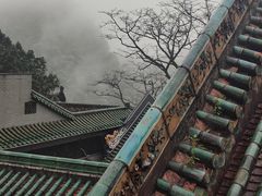 -鼎湖山风景区