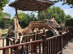 -上海野生动物园