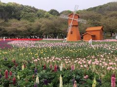 -苏州上方山国家森林公园