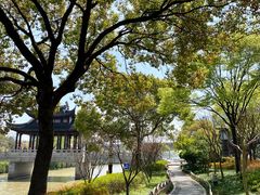 -枫桥景区