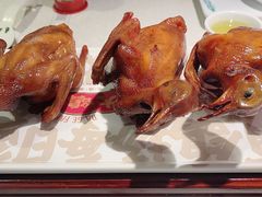 -大鸽饭(动物园店)