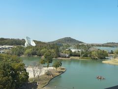 -佘山世茂艾美·御珍轩中餐厅