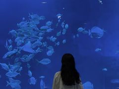 -烟台海昌鲸鲨海洋公园