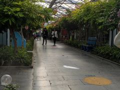 -南宫五洲植物乐园