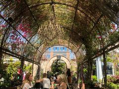-The Grounds of Alexandria