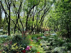 -上海共青森林公园