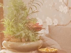 -感智盲人按摩·艾灸·肩颈SPA(岗厦店)