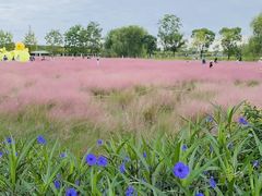 -嘉北郊野公园