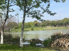 -九里河湿地公园