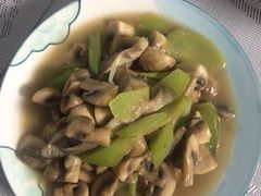 -贝斯特月嫂·育婴护理(北外滩总店)
