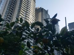 -广州珠江新城木莲庄酒店(暨南大学店)