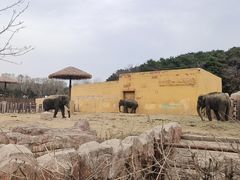 -沈阳森林动物园