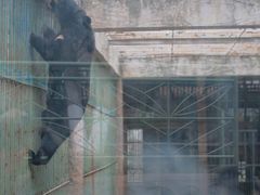 -攀枝花公园