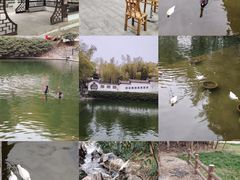 -求雨山文化公园