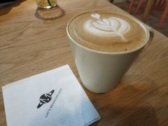 拿铁-CAT’S MEWSTAR CAFE·喵星球猫屋(晴湾咖啡店)