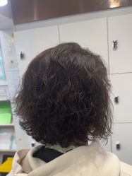 点击看大图 -镁连社·美联社
