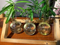-何兮花店·气球派对鲜花店(马桥银春路万科城店)