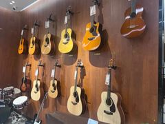 -知音艺术教育培训·钢琴培训·音乐培训(河西金鹰世界校区)