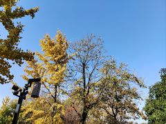 -明故宫遗址公园