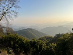 -莫干山风景区