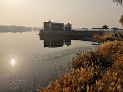 -青龙湖公园