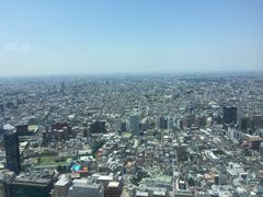 -东京都厅舍