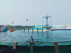 -秦皇岛乐岛海洋王国