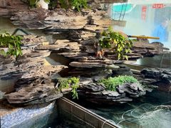 -山水茶艺馆·点心粤菜·30年老字号