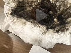 -御面斋精品面馆