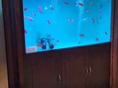 -东湖食堂·湖景餐厅•会议