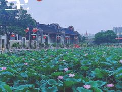 -资政大夫祠