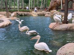 -北京野生动物园