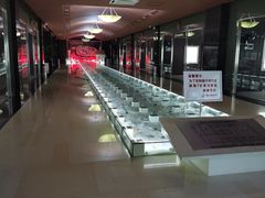 -青岛贝壳博物馆