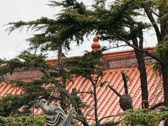 -迎江寺