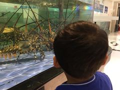 -海天一色海景自助餐厅(西港花园店)