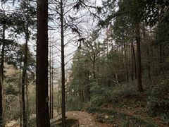 -北仑森林植物园