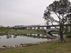 -宝安西湾红树林湿地公园