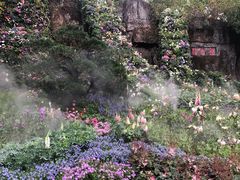 -深圳仙湖植物园