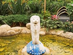 -南宫五洲植物乐园