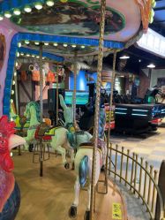 -卡通尼·Safari非洲探索乐园·生日会(金桥国际商业广场店)