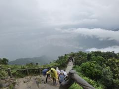 -梧桐山风景名胜区