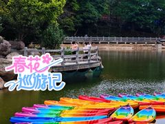 -广州市帽峰山景区