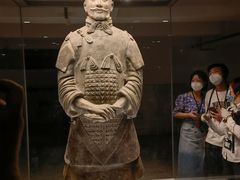 -秦美花卉(天朗·莱茵小城2期店)